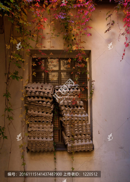 收集空雞蛋箱。