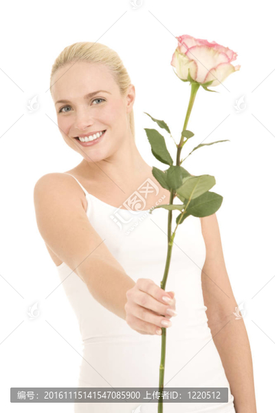玫瑰的女人