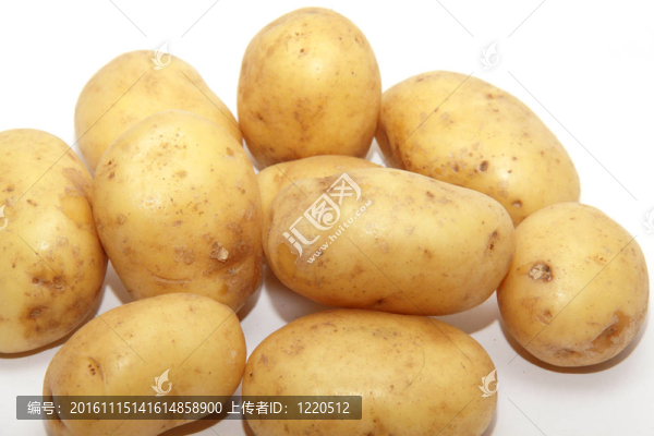 生土豆