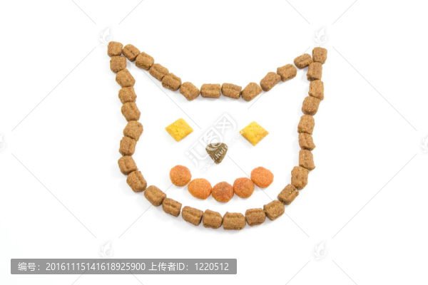 貓的頭