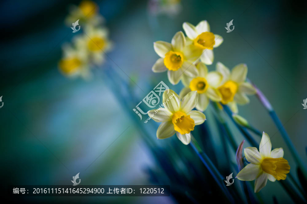 復(fù)活節(jié)的感覺