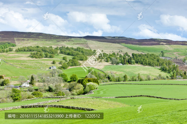Glen,Shee；Highlands；蘇格蘭
