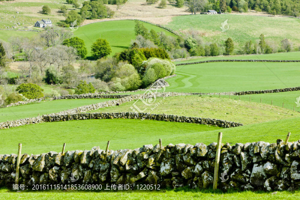 Glen,Shee；Highlands；蘇格蘭