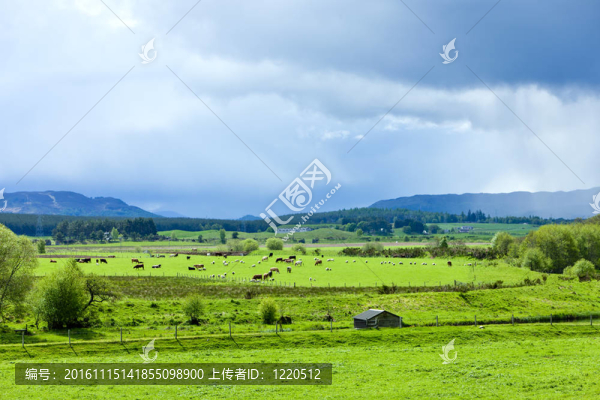 對(duì)蘇格蘭河谷景觀；Highlands；蘇格蘭