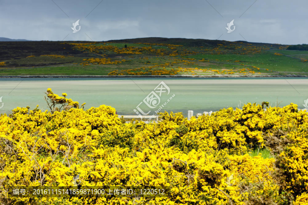 Loch,Eriboll；Highlands；蘇格蘭