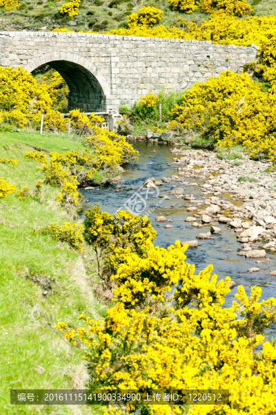 橋附近的阿馬灣；Highlands；蘇格蘭