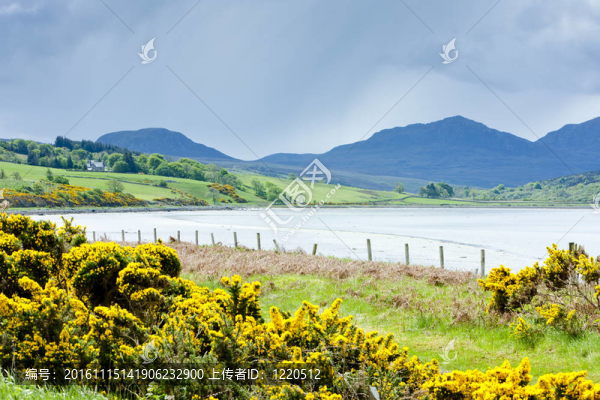 凱爾舌；Highlands；蘇格蘭