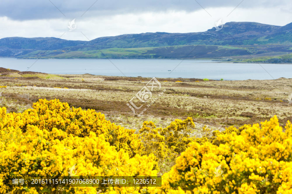 Loch,Eriboll；Highlands；蘇格蘭