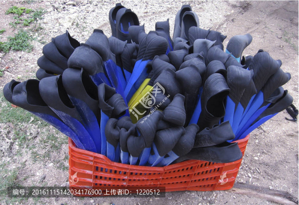 鰭等待著他們的潛水員