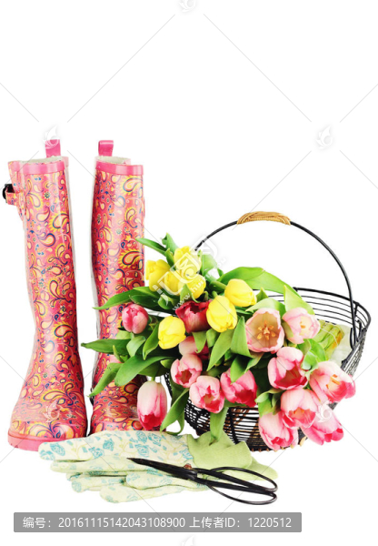 園藝用品與Flowers
