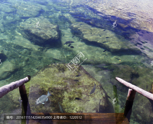 步驟瀉湖
