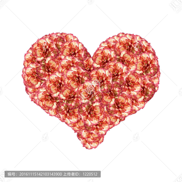 橙色的康乃馨的心