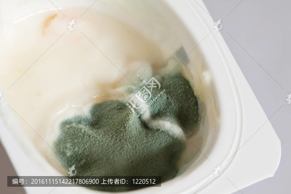 帶模具的水果酸奶。