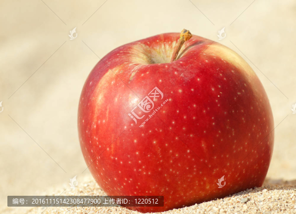 紅蘋果在沙灘上
