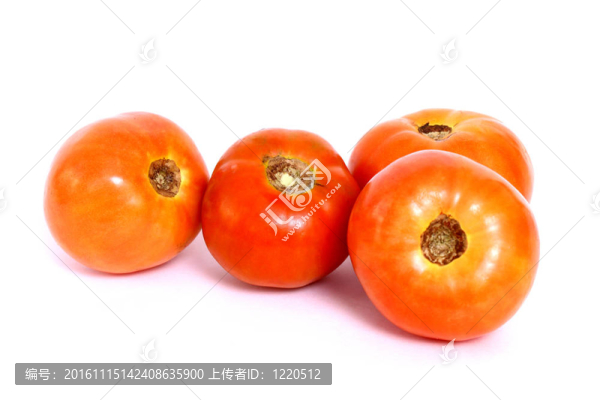 成熟的西紅柿