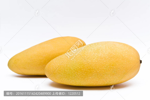 芒果