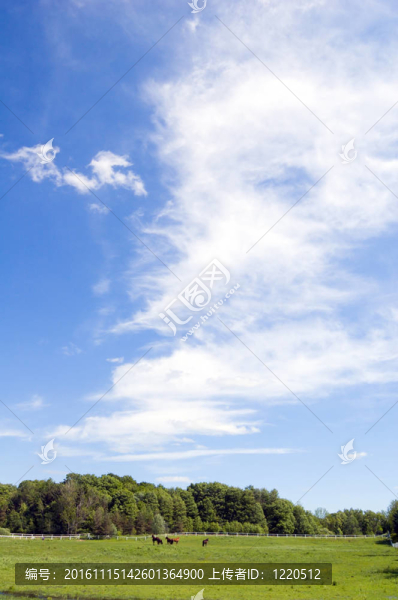 藍(lán)色的天空