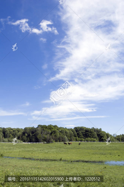 藍(lán)色的天空