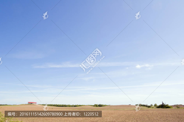 農(nóng)業(yè)