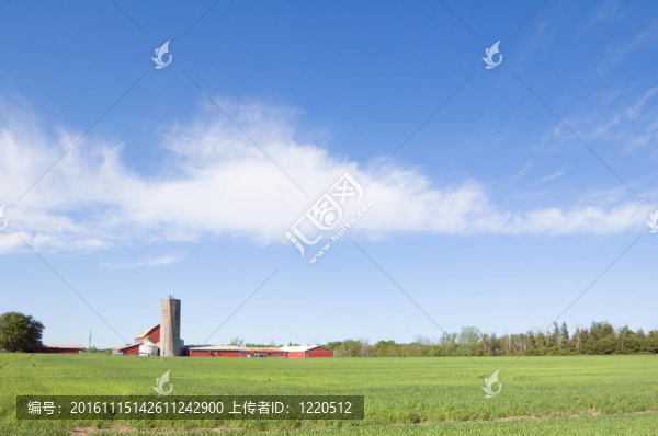 農(nóng)業(yè)