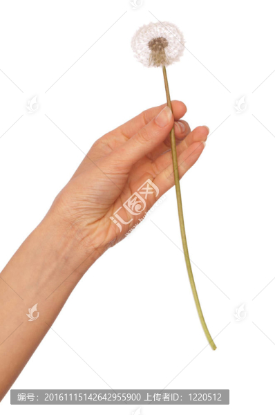 絮影