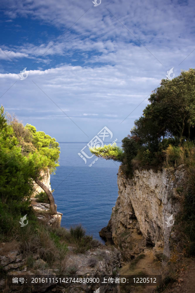 Mediterranean海岸