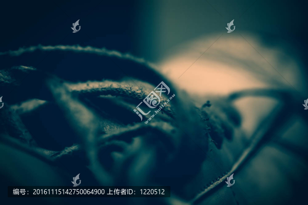 運動鞋