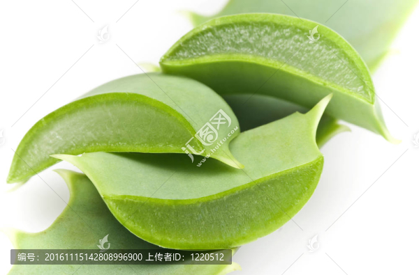 蘆薈
