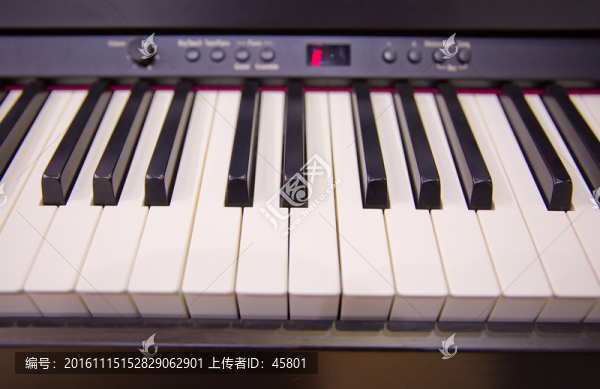 鋼琴鍵盤