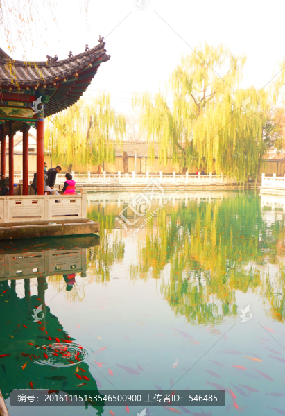亭子角,泉池,金魚