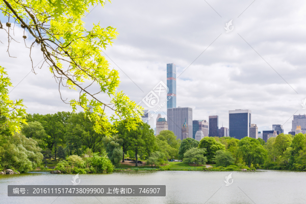 美國紐約中央公園
