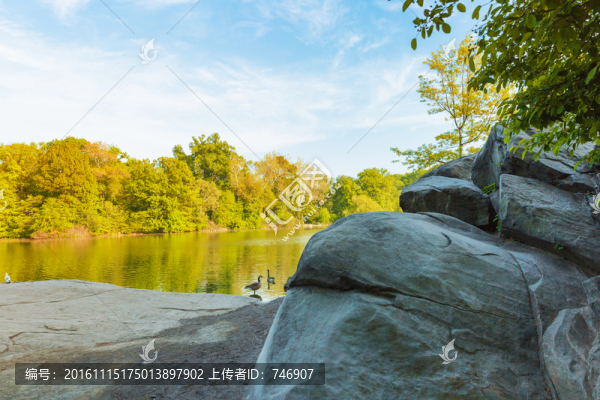紐約中央公園