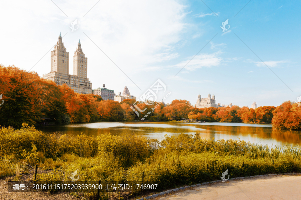 紐約中央公園