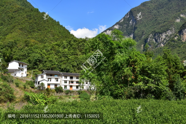 特色民居鄉(xiāng)村風(fēng)景