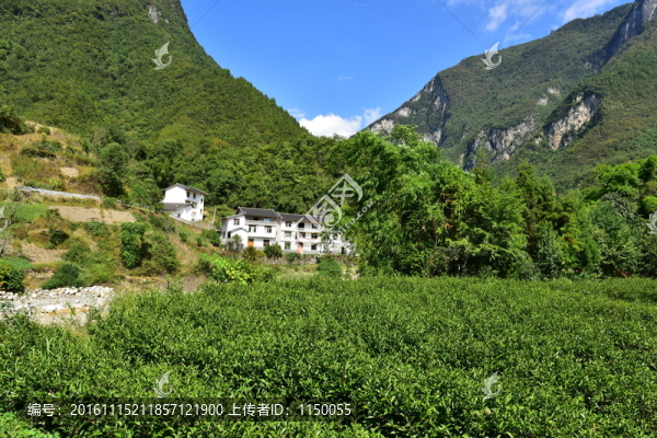 特色民居鄉(xiāng)村風(fēng)景