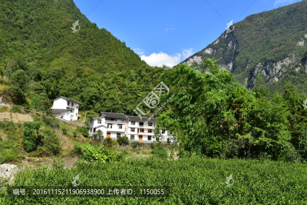 農(nóng)村田園農(nóng)家風(fēng)景