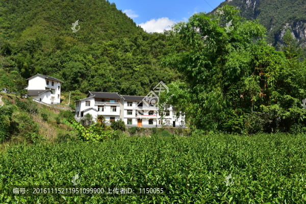 農(nóng)村田園農(nóng)家風(fēng)景