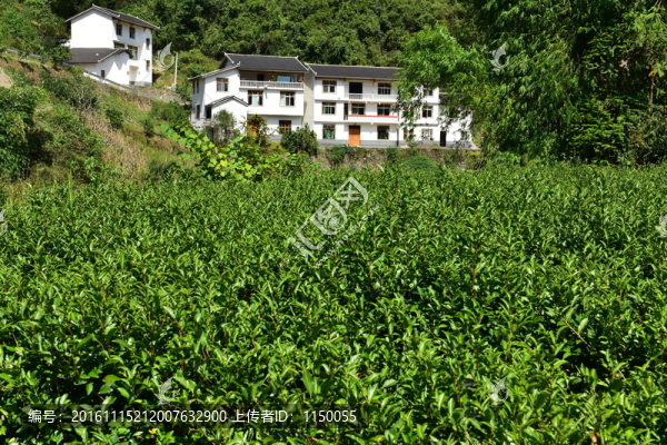 農(nóng)村田園農(nóng)家風(fēng)景