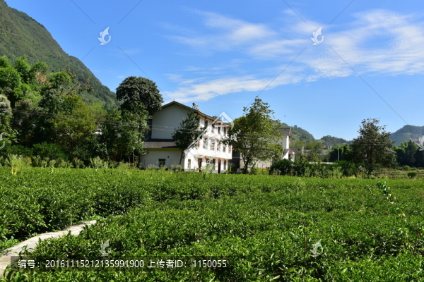 農(nóng)村田園農(nóng)家風(fēng)景