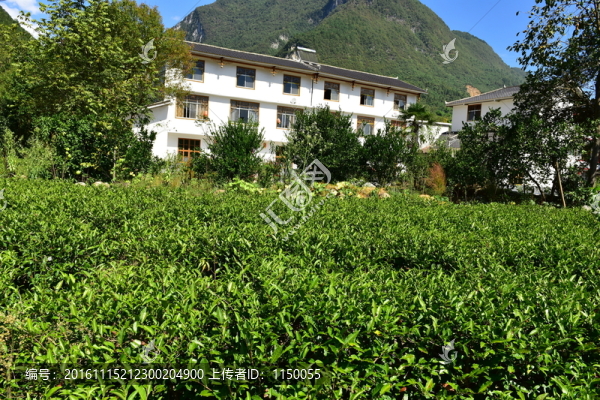 農(nóng)村田園農(nóng)家風(fēng)景