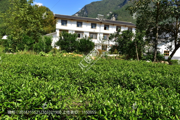 農(nóng)村田園農(nóng)家風(fēng)景