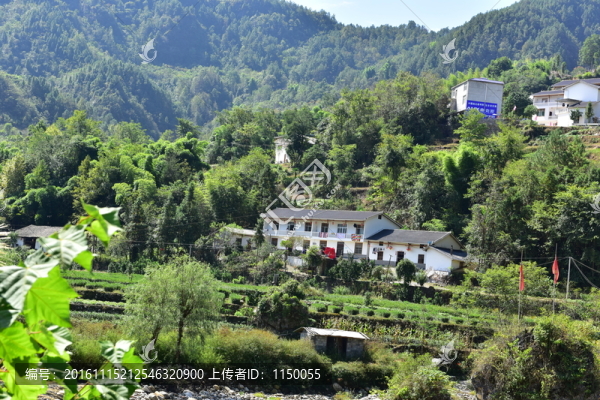 湖北恩施市麂子渡景區(qū)田園風(fēng)光