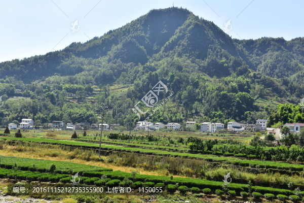 特色民居鄉(xiāng)村風(fēng)景