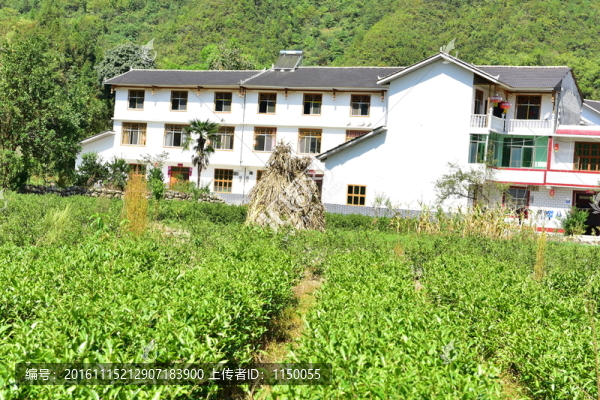 特色民居鄉(xiāng)村風(fēng)景