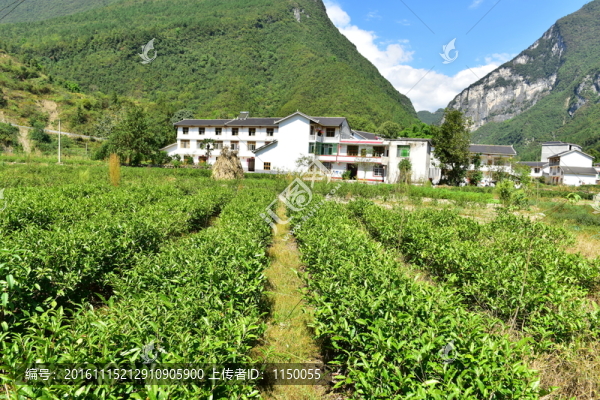 特色民居鄉(xiāng)村風(fēng)景
