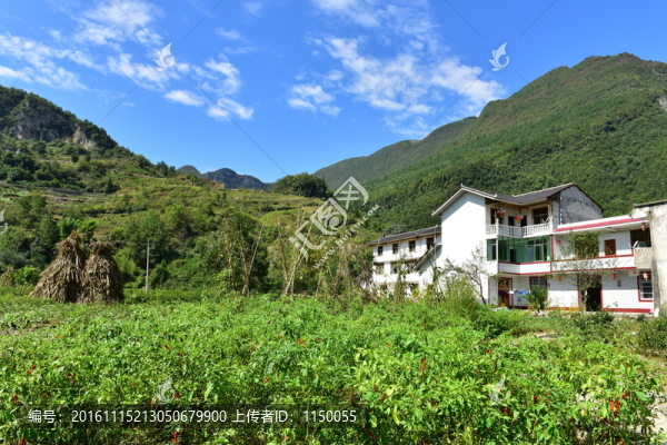 農(nóng)村田園風景風光