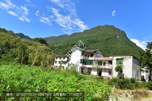 田園風(fēng)光
