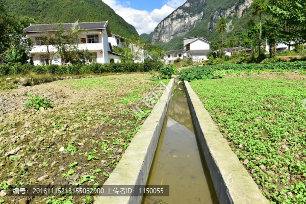 田園風(fēng)光