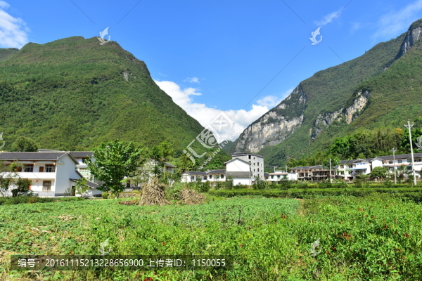 田園風(fēng)光