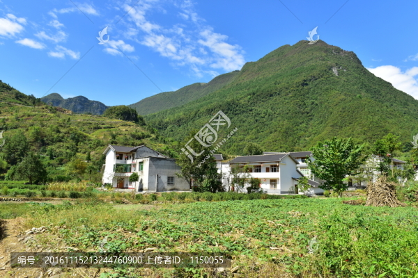 田園風光